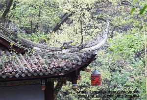 Chengdu avril 2017 - 084
